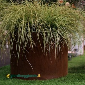 Fioriera cilindrica in CORTEN – ø 50 cm. h. 40 cm. senza fondo